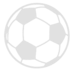 海外組サカレポ